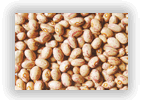 LIGHT SPECKLED BEANS,ROUND SHAPE