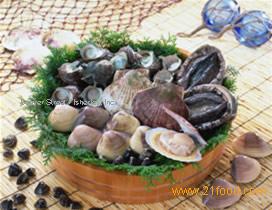 Clams