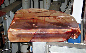 Frozen Beef Liver