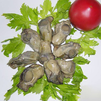 POACHED OYSTER