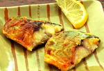 Spanish mackerel