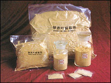 Ginkgo biloba P.E