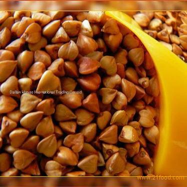 Sell Buckwheat Groat