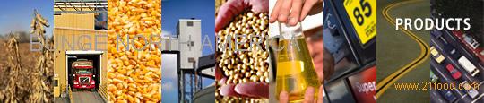 BUNGE BIOFUELS