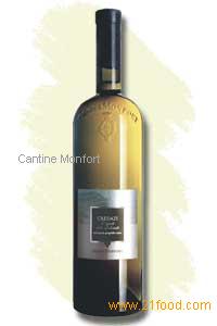 Credazi I.G.T., Dolomites' vineyard