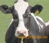 Agriculture & Animal Nutrition