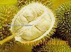 Durian