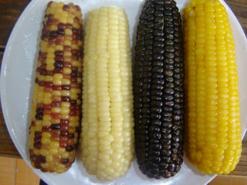 Sticky Corn