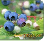 Blueberry