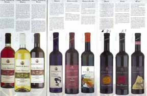 Wines from Italy
