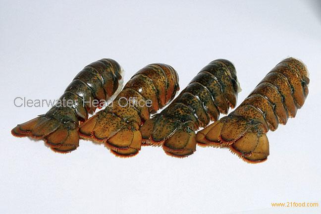 Lobster Tails