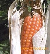 maizemilling product