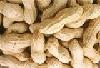 Peanuts in shells