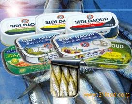 Exportation canned Sardines