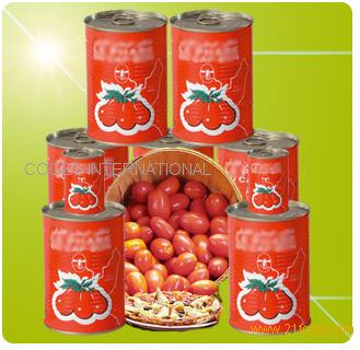 Exportation canned tomato