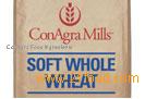 Soft Whole Wheat