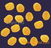 Dried Apricot