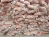 Pork carcasses fresh/frozen