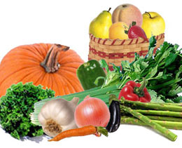 Puree of fruits and vegetables