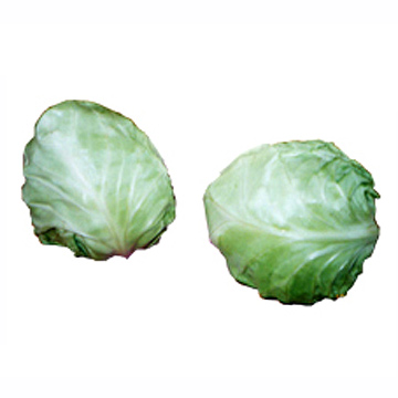 Sell Fresh Cabbage
