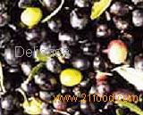 Olives