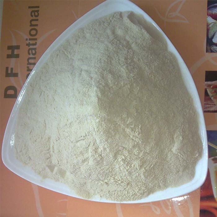 Vital Wheat Gluten
