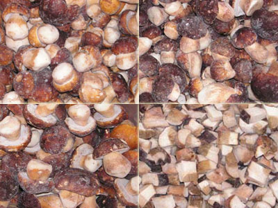 Frozen mushroom Boletus edulis/pinicola.