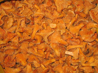 Frozen mushroom Chanterelle