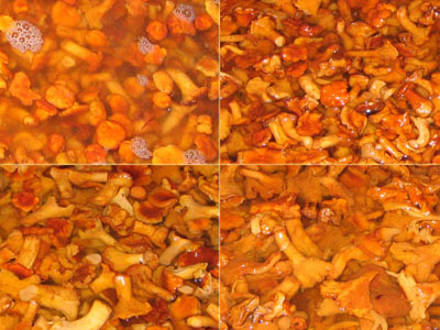 Mushroom Cantharellus cibarius in brine.