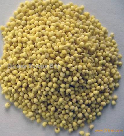 Millet Seed Hulled