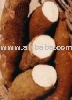 Selling Vietnam tapioca chips