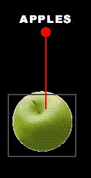 APPLES