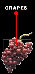 grapes