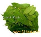 Bayleaf