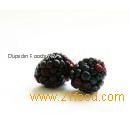 blackberry