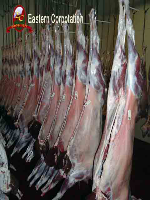 Halal Meat