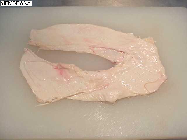 Beef Offal Offer