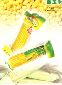 Sweet yellow Corn