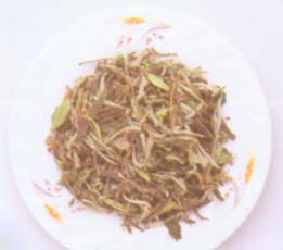 WHITE PEONY TEA