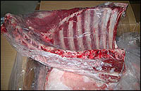 lamb meat
