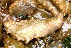 Sea slug