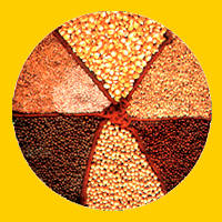 CEREALS