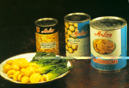 Canned Mushroom