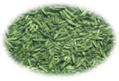 Organic Longjing tea