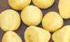 CHESTNUT STEAMED BREAD OF CORN
