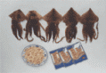 Dried Squid