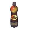 PET Fruit & Sport Bottle