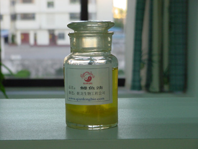 Eels fish oil