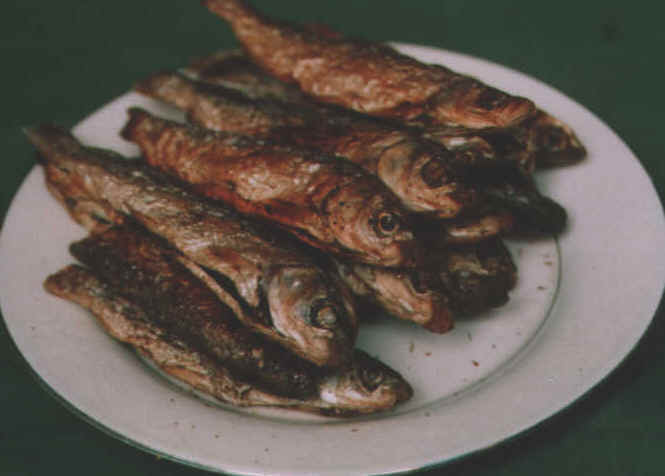 Dehydrated Wild Fish