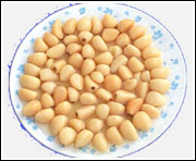 Salted Garlic